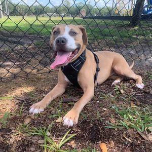 Meet your Posher, Robert